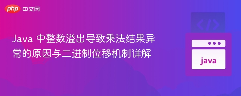 Java 中整数溢出导致乘法结果异常的原因与二进制位移机制详解
