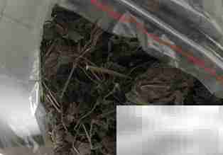 紫苏苦瓜焖肉做法