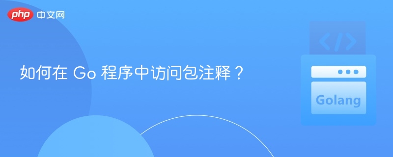 如何在 Go 程序中访问包注释？
