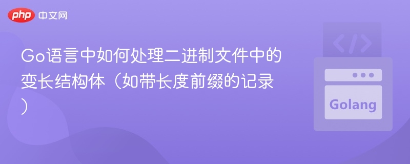 Go语言中如何处理二进制文件中的变长结构体（如带长度前缀的记录）
