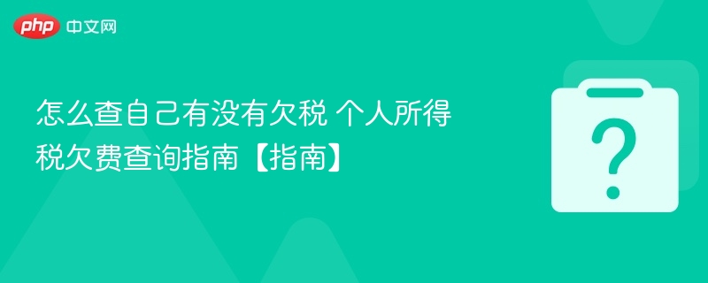 怎么查自己有没有欠税 个人所得税欠费查询指南【指南】