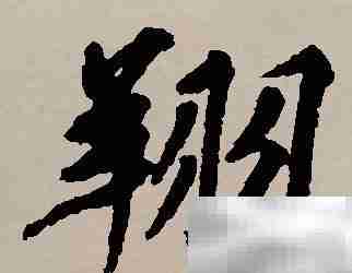 翔字取名寓意解析