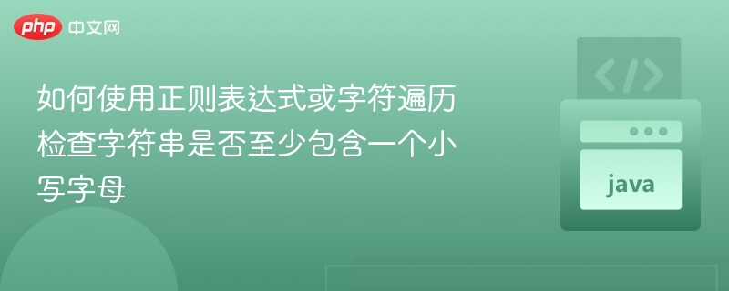 如何使用正则表达式或字符遍历检查字符串是否至少包含一个小写字母
