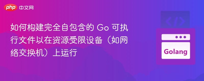 如何构建完全自包含的 Go 可执行文件以在资源受限设备（如网络交换机）上运行
