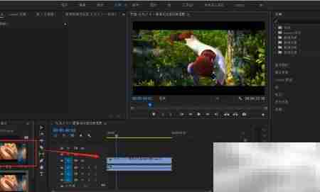 PR如何调整素材帧速率