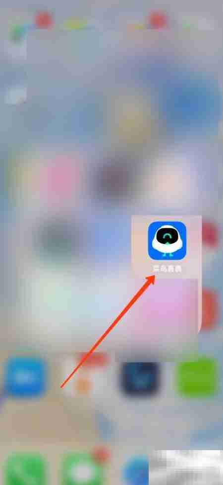 菜鸟裹裹如何切换大众版