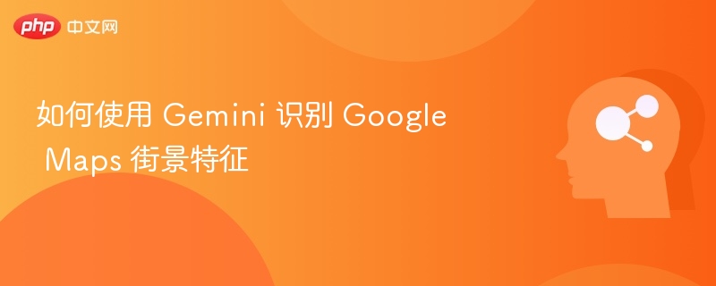 如何使用 Gemini 识别 Google Maps 街景特征