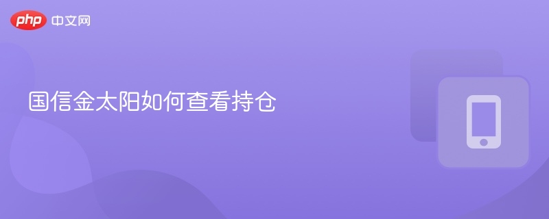 国信金太阳如何查看持仓