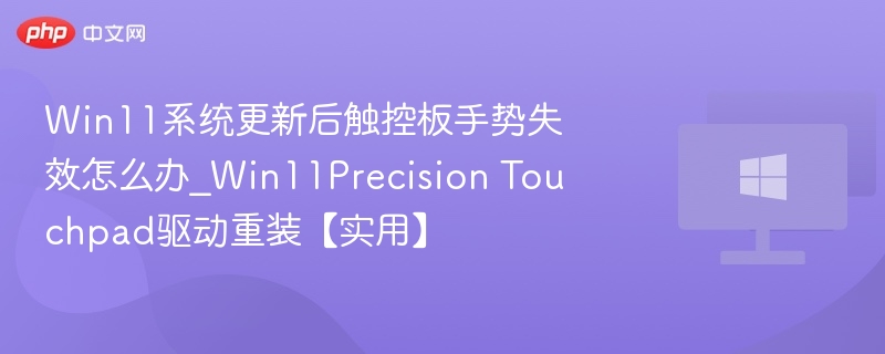 Win11系统更新后触控板手势失效怎么办_Win11Precision Touchpad驱动重装【实用】