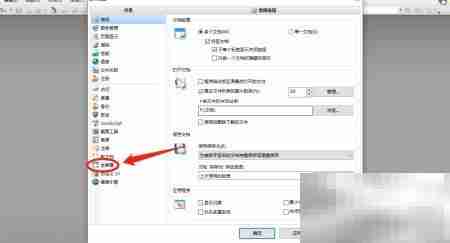 PDF Viewer幻灯片模式开启方法
