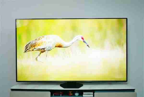 2025年海信电视出货量中国第一！三星、索尼等外资品牌长期垫底