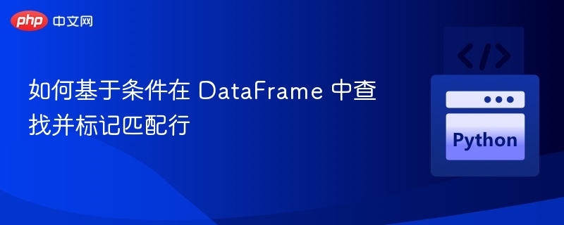 如何基于条件在 DataFrame 中查找并标记匹配行
