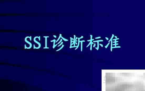 SSI是什么?一文读懂其含义