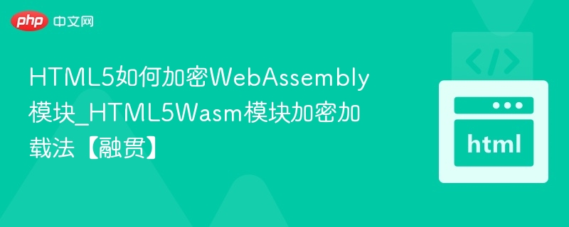 HTML5如何加密WebAssembly模块_HTML5Wasm模块加密加载法【融贯】