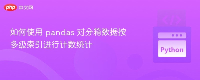 如何使用 pandas 对分箱数据按多级索引进行计数统计
