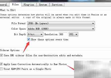 ON1 Resize 2019开启默认选项