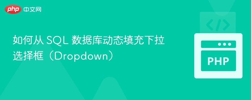 如何从 SQL 数据库动态填充下拉选择框（Dropdown）
