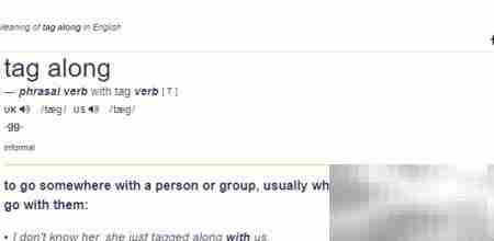 Tag Along是什么意思