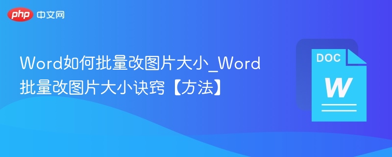 Word如何批量改图片大小_Word批量改图片大小诀窍【方法】
