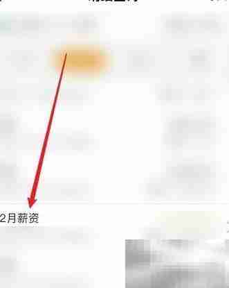 帅手工资软件使用指南