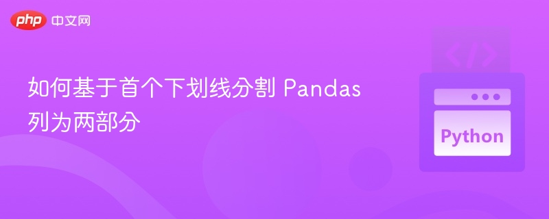 如何基于首个下划线分割 Pandas 列为两部分