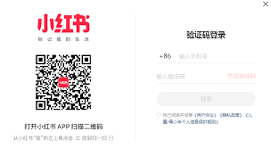 如何直接打开小红书网页版入口