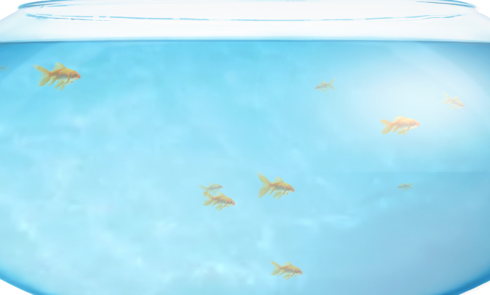 fishbowl性能测试 fishbowl测试入口