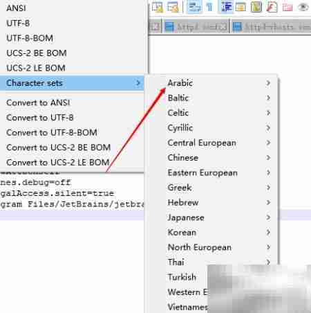Notepad++设置阿拉伯语编码
