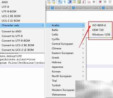Notepad++设置阿拉伯语编码