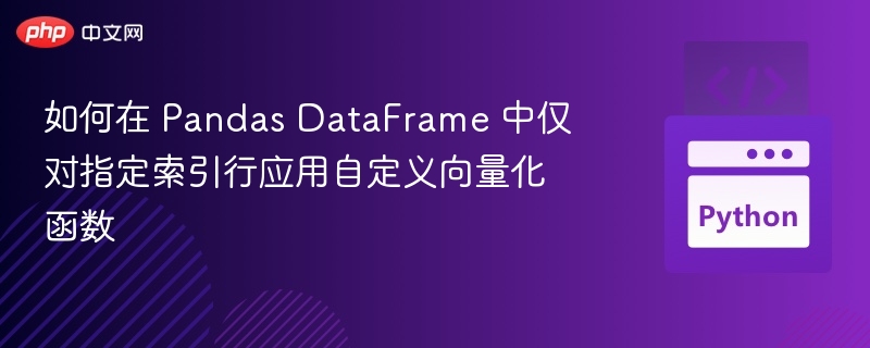 如何在 Pandas DataFrame 中仅对指定索引行应用自定义向量化函数
