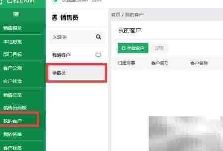 医疗销售代表系统定制分析