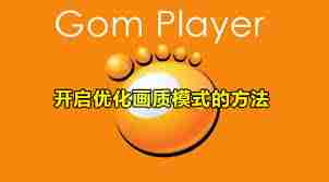 GOMPlayer怎么启用调节视频大小功能