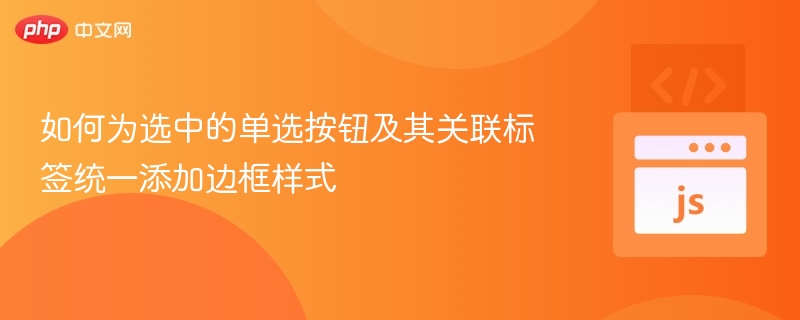 如何为选中的单选按钮及其关联标签统一添加边框样式