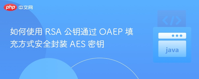 如何使用 RSA 公钥通过 OAEP 填充方式安全封装 AES 密钥
