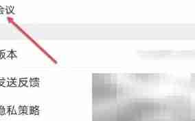 Umeet音频自动连接设置