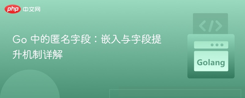 Go 中的匿名字段：嵌入与字段提升机制详解
