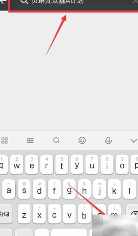 贝琳梵众鑫A计划揭秘