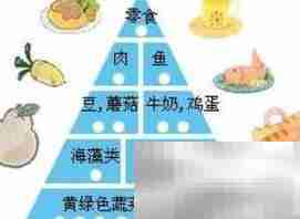 儿童营养健康经验分享