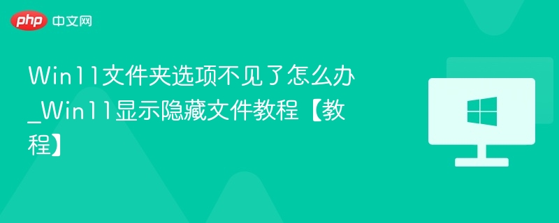 Win11文件夹选项不见了怎么办_Win11显示隐藏文件教程【教程】