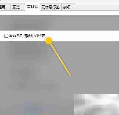 ReNamer重命名后清空规则
