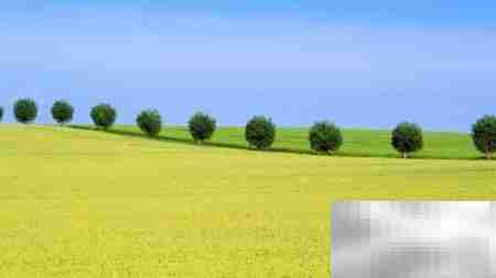 土地承包合同有效签订指南