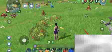 创造与魔法加速符绘制指南