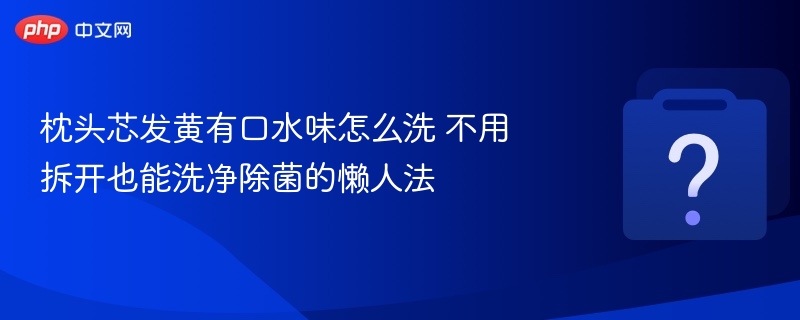 枕头芯发黄有口水味怎么洗 不用拆开也能洗净除菌的懒人法