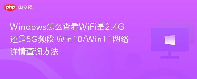 Windows怎么查看WiFi是2.4G还是5G频段 Win10/Win11网络详情查询方法