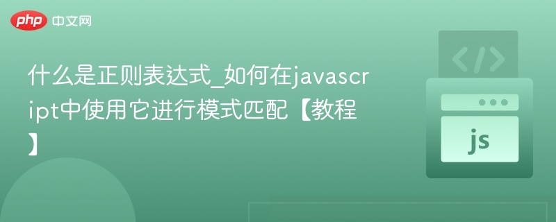 什么是正则表达式_如何在javascript中使用它进行模式匹配【教程】