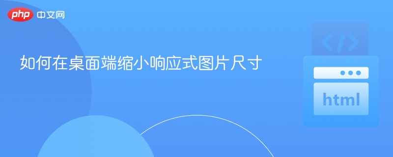 如何在桌面端缩小响应式图片尺寸
