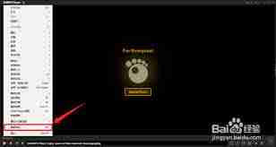 GOMPlayer怎样设置自动生成日志文件