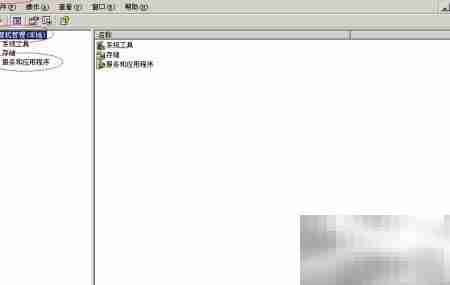 启用Windows Server 2003 WebClient服务