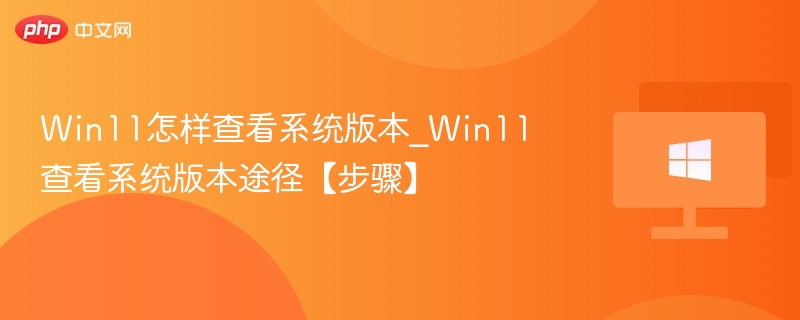 Win11怎样查看系统版本_Win11查看系统版本途径【步骤】