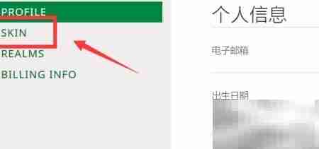 我的世界1.13皮肤使用教程